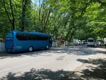 Yutong 6831-15