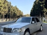 Mercedes 250 D-1