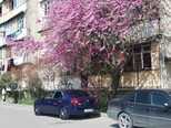 Geely MK-4