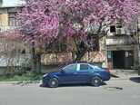 Geely MK-5