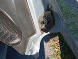 LADA (VAZ) 2115-9