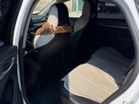 BYD Destroyer 05-12
