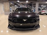 Ford Mustang-1