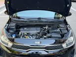 Kia Rio-15