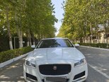 Jaguar XF-1
