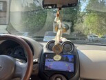 Nissan Micra-9