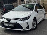 Toyota Corolla-6