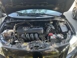 Toyota Corolla-8