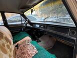 GAZ 24 "Volga"-9