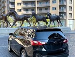 Chevrolet Equinox-6