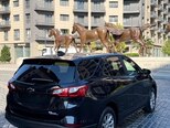 Chevrolet Equinox-5