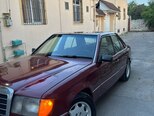 Mercedes 250 D-4