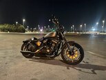 Harley-Davidson XL883N Sportster Iron 883-4