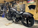 Harley-Davidson XL883N Sportster Iron 883-7