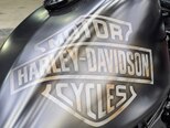 Harley-Davidson XL883N Sportster Iron 883-5