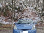 Toyota Prius-13