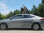 Hyundai Elantra-7