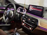 BMW 530e-15