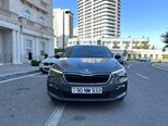 Skoda Rapid-1