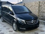 Mercedes Viano-2