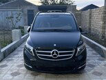 Mercedes Viano-1