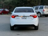 Toyota Corolla-7