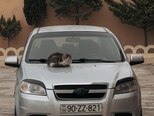 Chevrolet Aveo-1