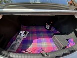 Hyundai Accent-19