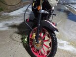 Champ Angel-3
