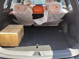 Changan Qiyuan Q07-12