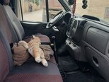 Ford Transit-3