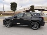 Lexus NX 350h-8