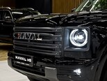 Haval H9-6