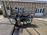 Freedom MX 49-3