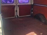 Ford Transit-8