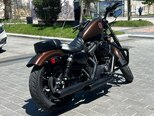 Harley-Davidson XL883N Sportster Iron 883-2