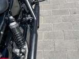 Harley-Davidson XL883N Sportster Iron 883-11