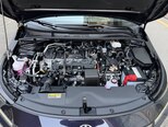Toyota Corolla-12