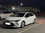 Toyota Corolla-8