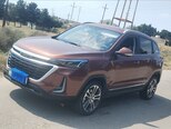 Baic X35-15