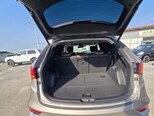 Hyundai Santa Fe-13