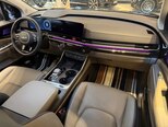 Kia Carnival-12