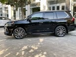 Lexus LX 450d-4