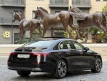 Mercedes E 220 d-12