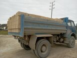 MAZ 5549-6