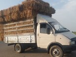 GAZ GAZel (33021)-6