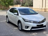 Toyota Corolla-7