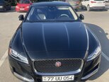 Jaguar XF-1