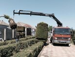 Mercedes Atego 1523-13