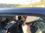 Mercedes 220 E-16